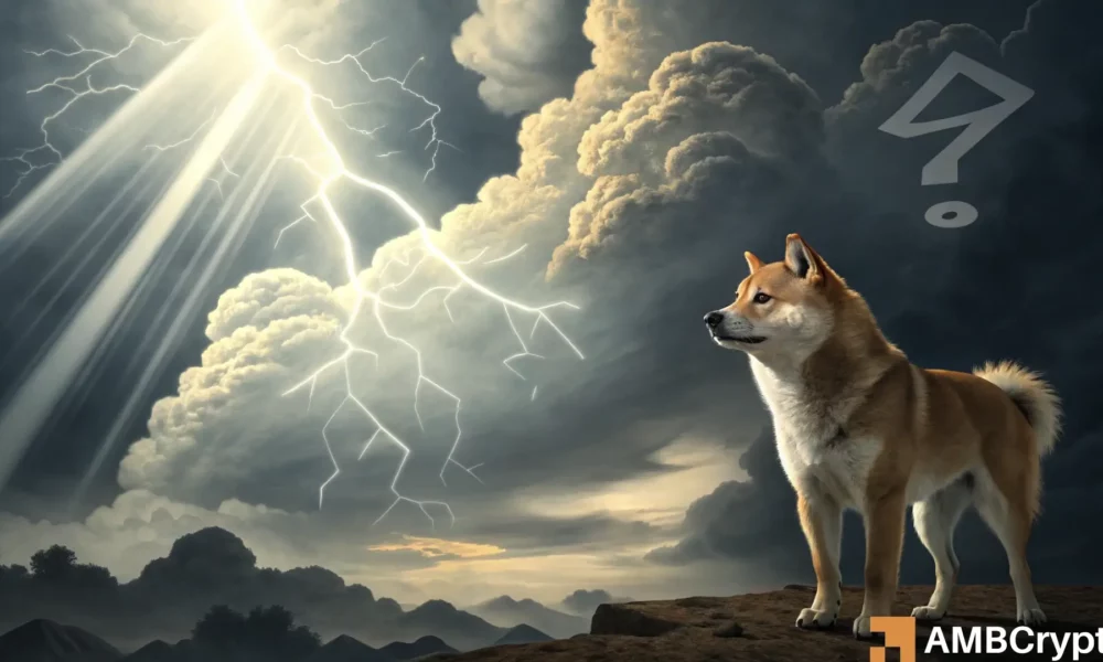 “定价目标:Shiba Inu 区间内的短期走势预测”