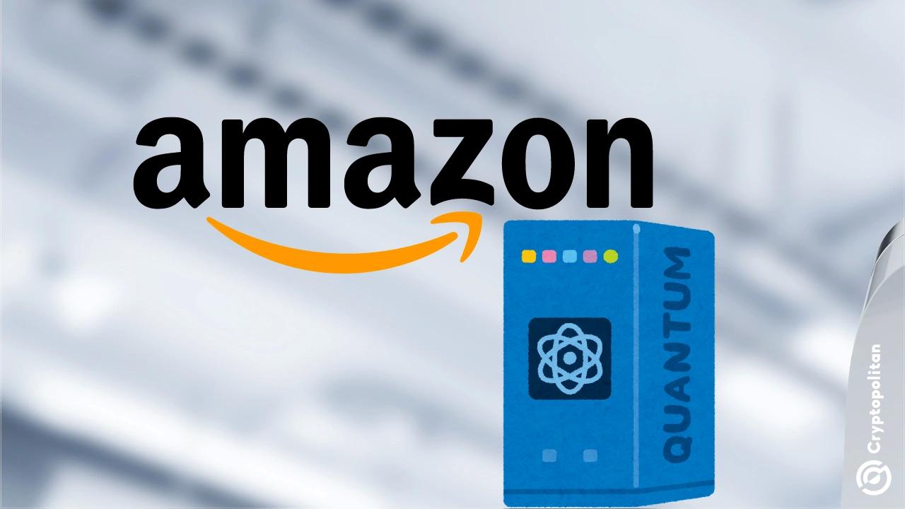 Exploring Amazon Web Services Ocelot and its Quantum Computing Chip